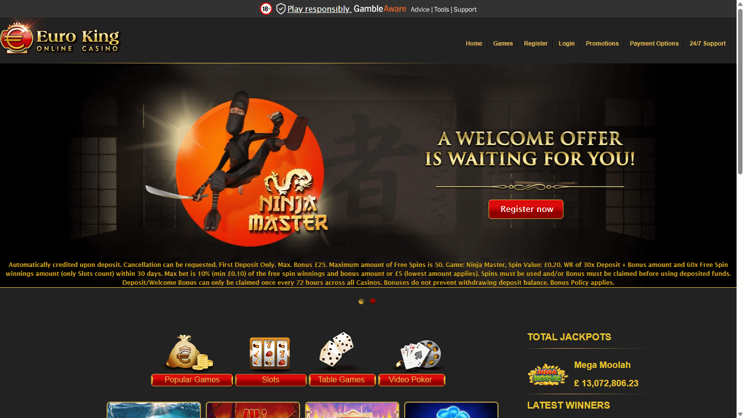 EuroKing Casino Desktop screenshot